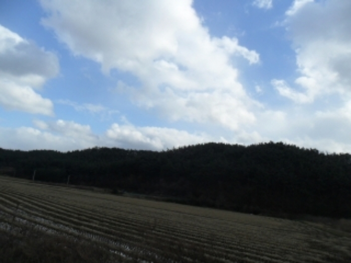 2021타경5374[5]