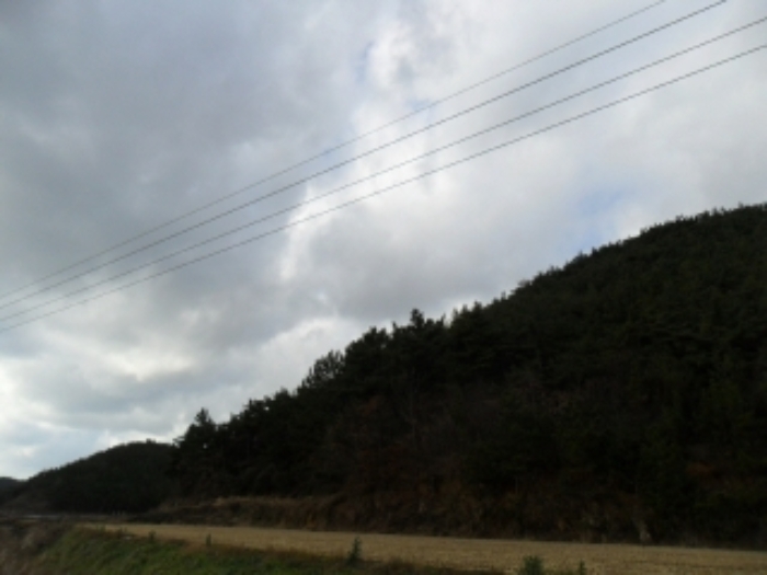 2021타경5374[5]