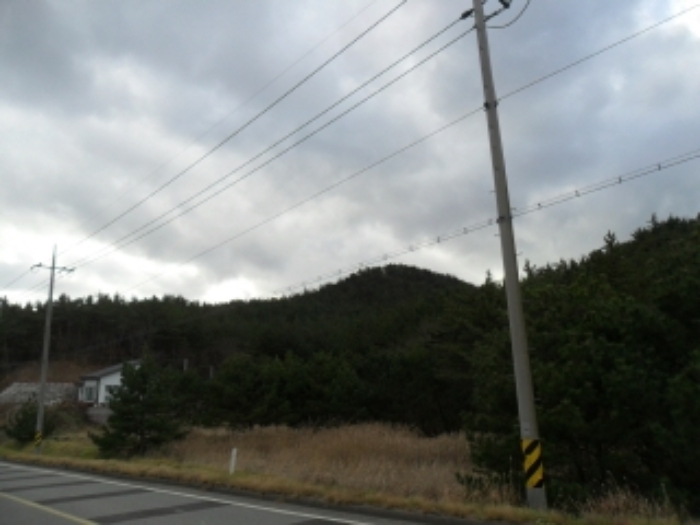 2021타경5374[5]