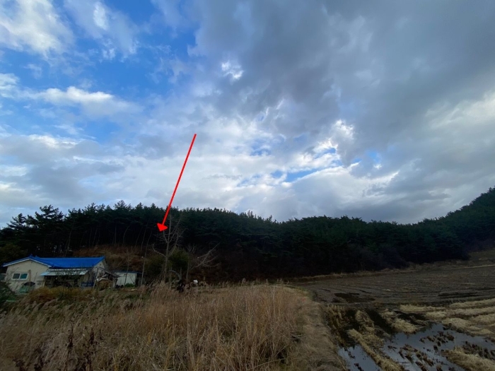 2021타경5374[5]