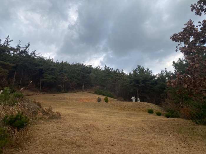 2021타경5374[5]