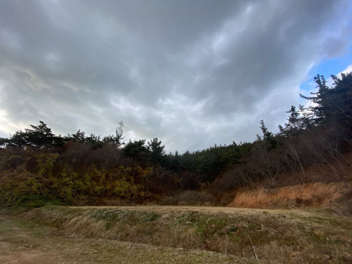 2021타경5374[5]