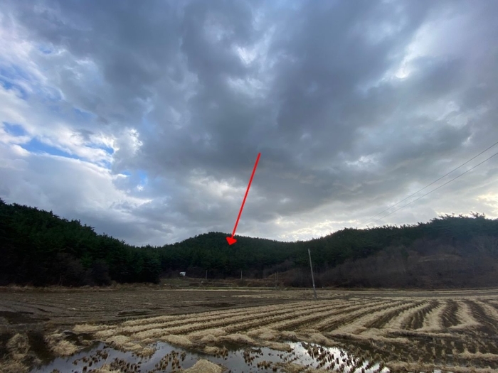 2021타경5374[5]