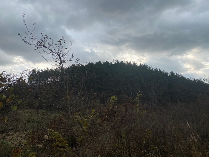 2021타경5374[5]