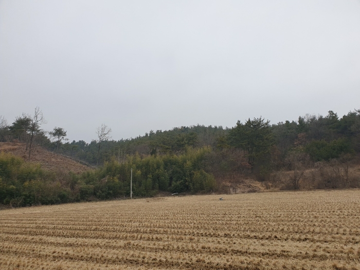 위 치 도