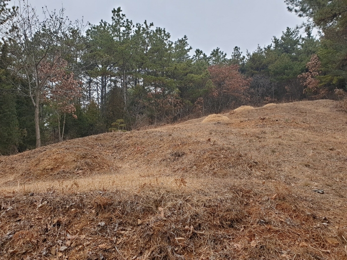 2021타경5985