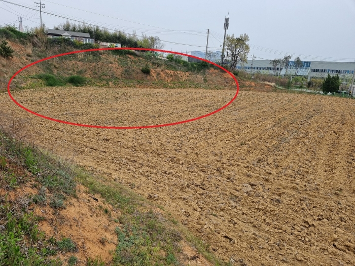 본건 전경