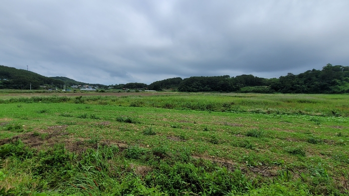 본건 전경(본건 서측)