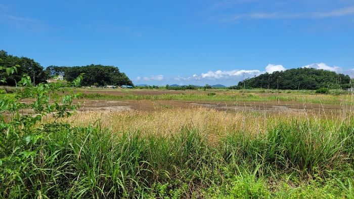 본건 전경(본건 남측)