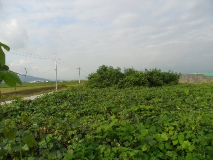 2022타경3221