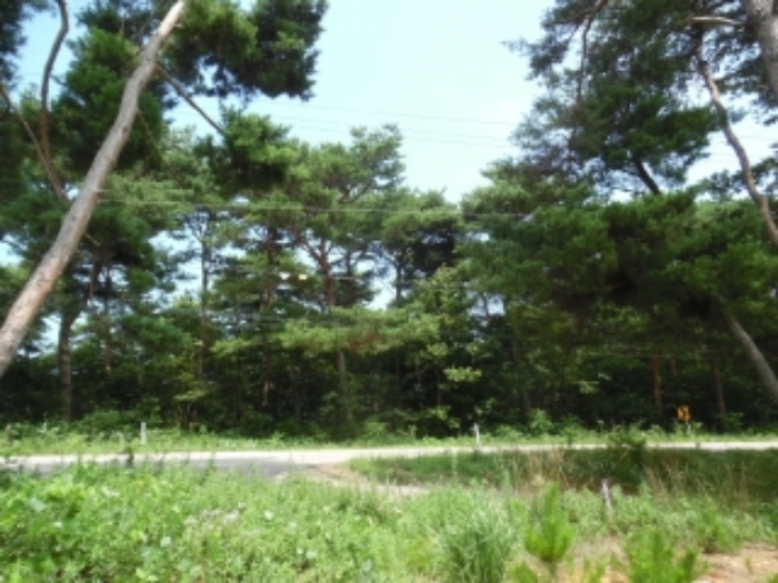 북서측에서 본 모습