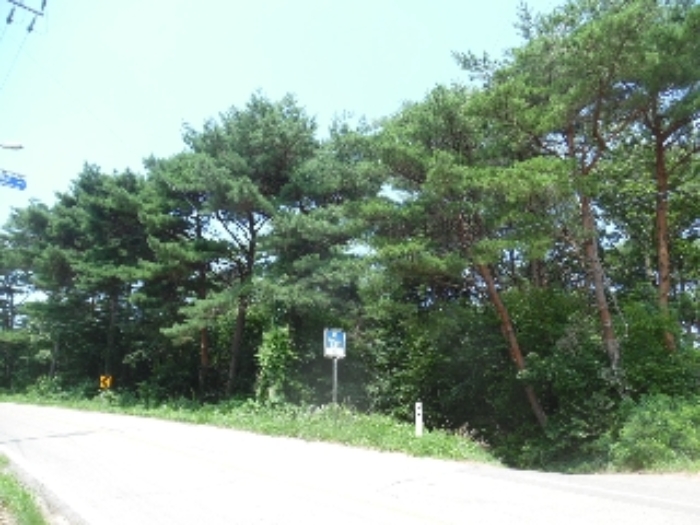 남동측에서 본 모습