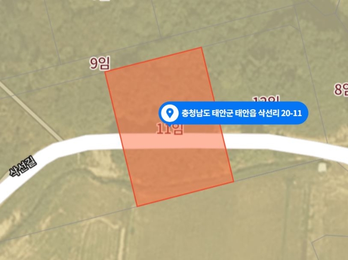 본건 지적 현황도