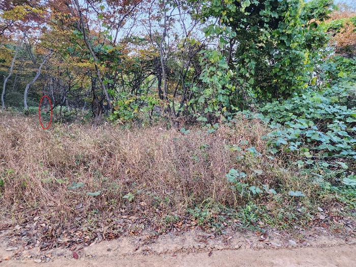 본건 북서측 지적점 추정 '측량말목'