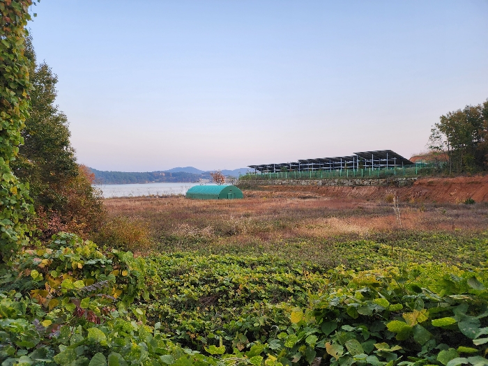 참고 -- 본건관통 '세로' 서측에서 남측인접필지( 21-63 )를 촬영