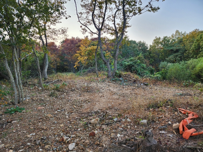 본건( 20-11 )북동측 전경(前景)