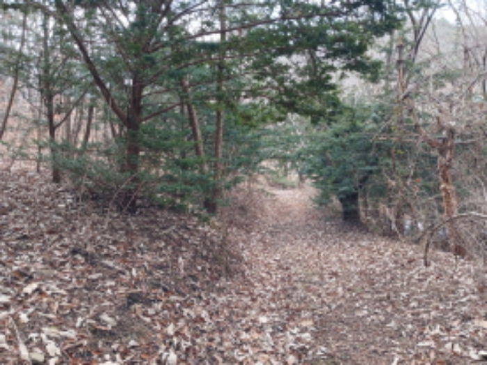 목록1