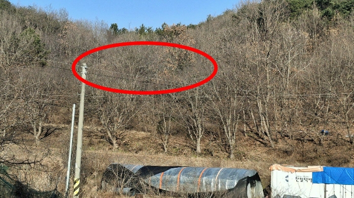 본건 전경