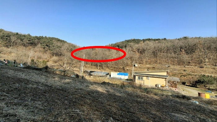 본건 전경