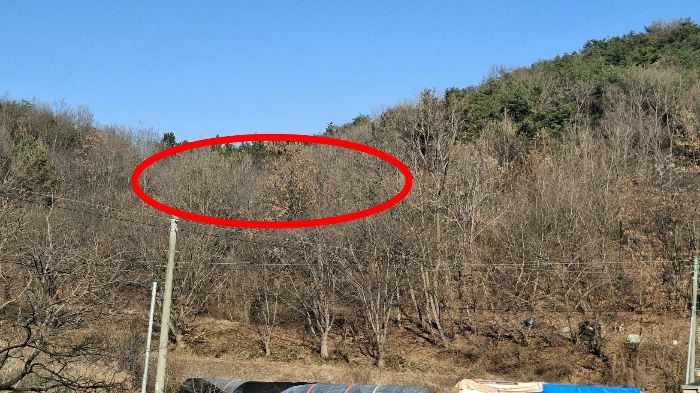 본건 전경