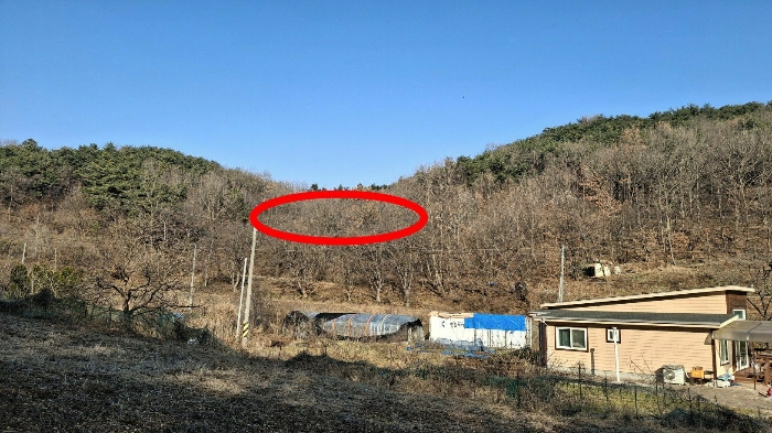 2024타경4907