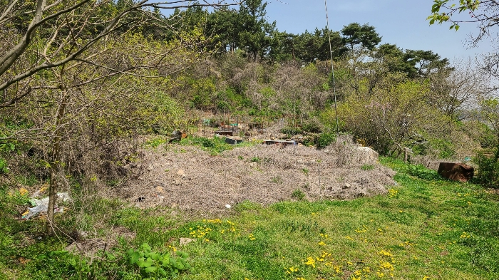 본건 기호(1) 전경