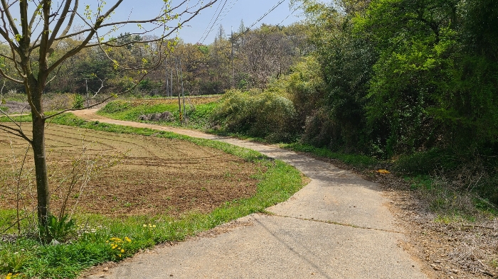본건 기호(2) 남측 전경