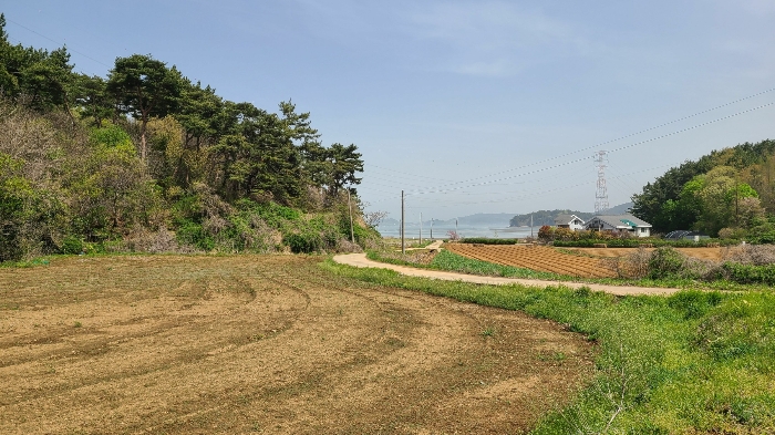 본건 기호(3), 기호(4) 전경