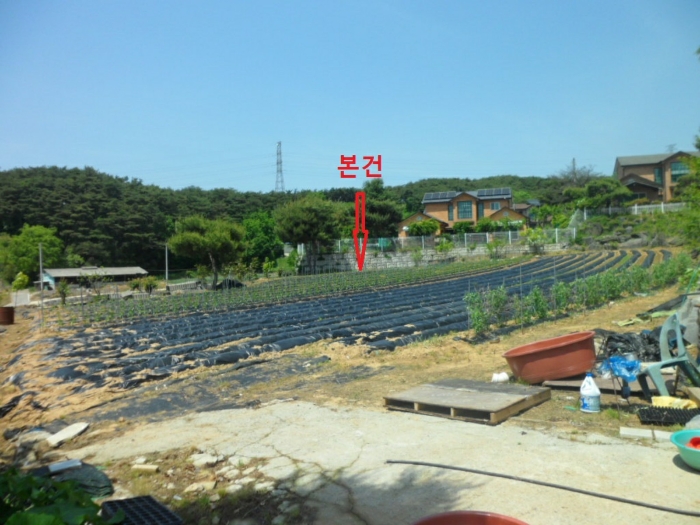 본건