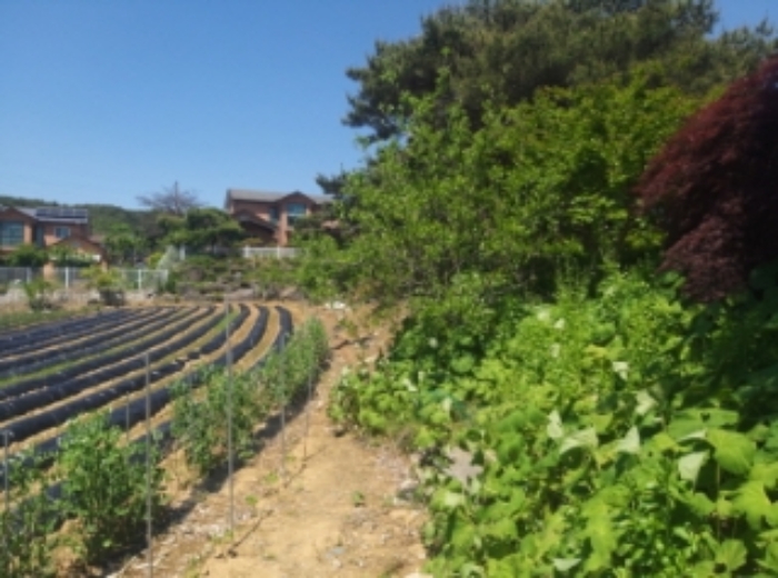 2024타경53855
