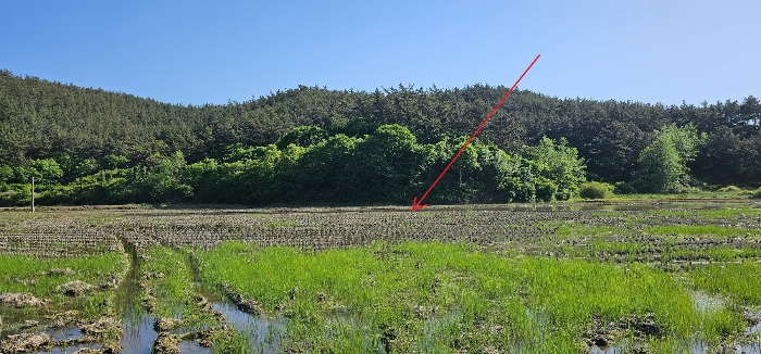 2024타경53923[2]