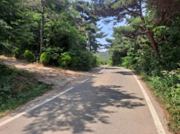 2024타경54575[3]