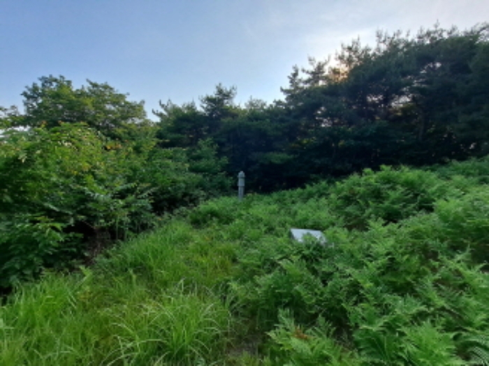 2024타경54575[3]