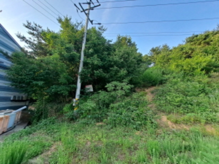 2024타경54575[3]