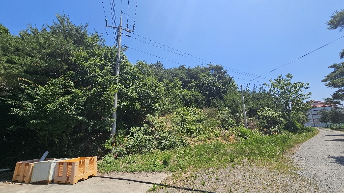 2024타경54575[3]