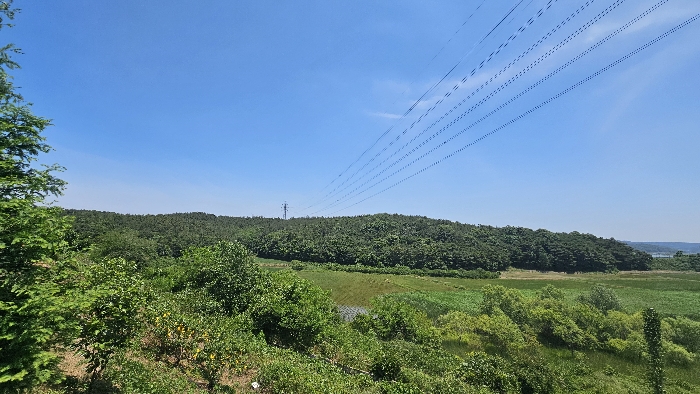 2024타경54575[3]