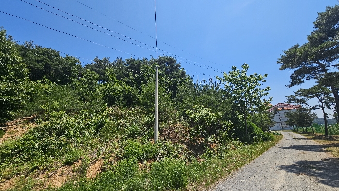 2024타경54575[3]
