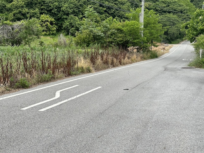 기호 5