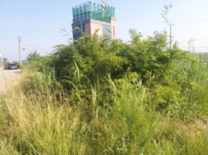 1.목록 토지