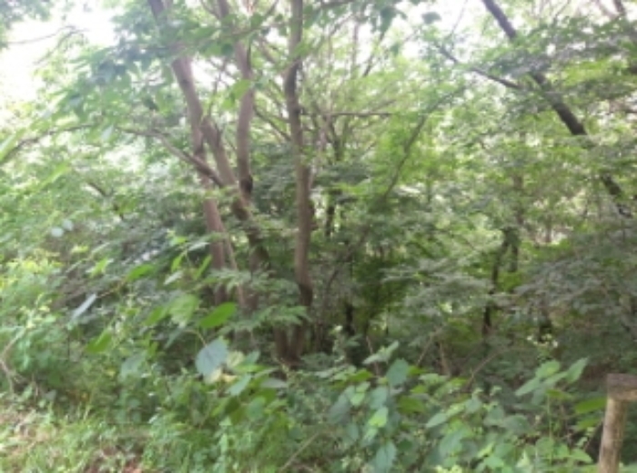 2024타경55950[1]