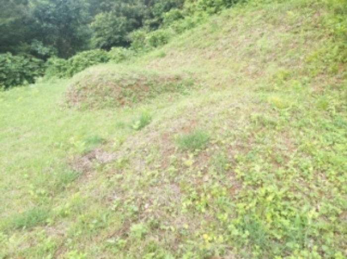 2024타경55950[1]