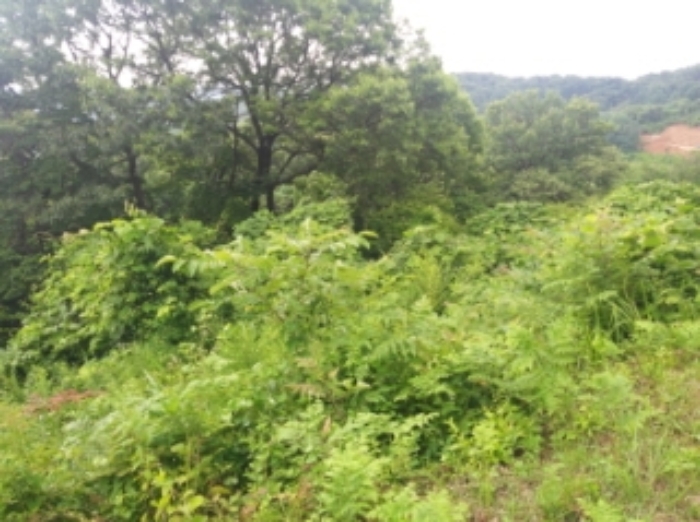 2024타경55950[1]