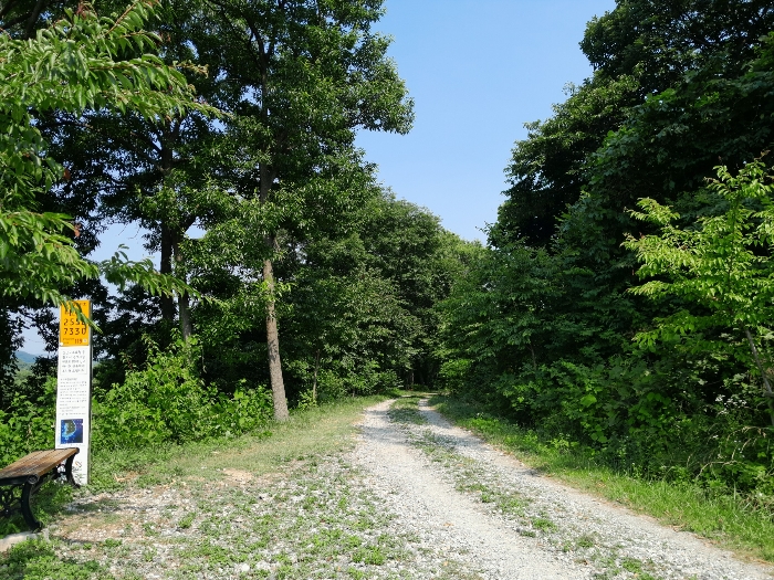 2024타경55950[1]