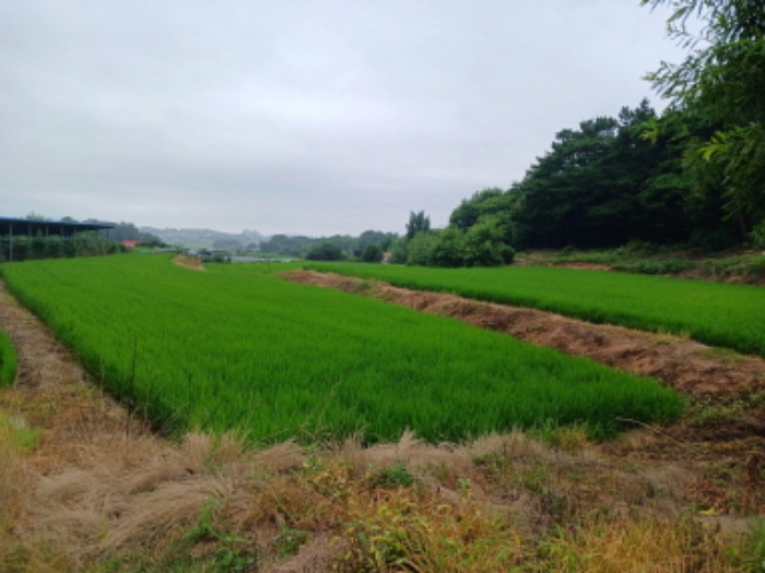 목록1(논)