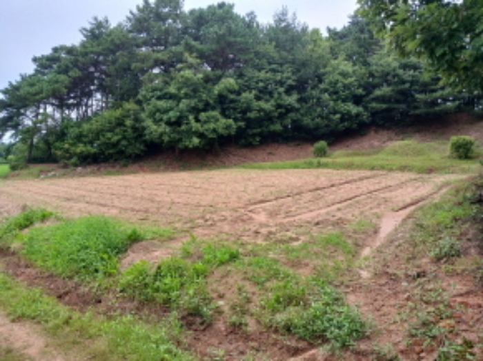 목록1(밭)