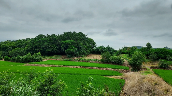 본건 전경