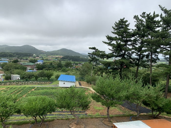 제시외수목 ㉦