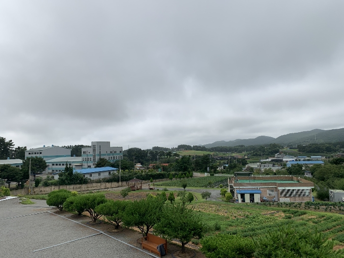제시외수목 ㉦