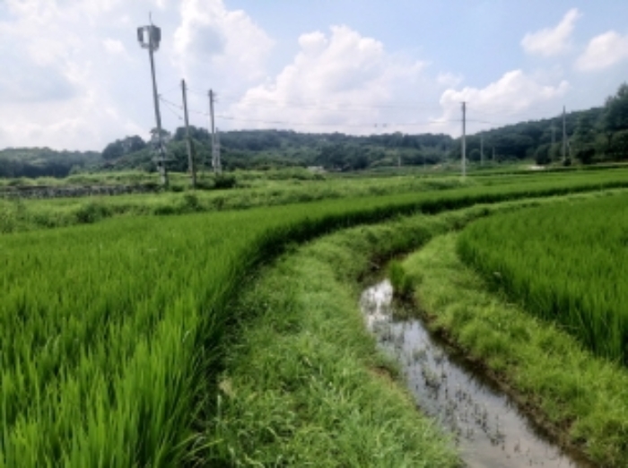 2024타경56953