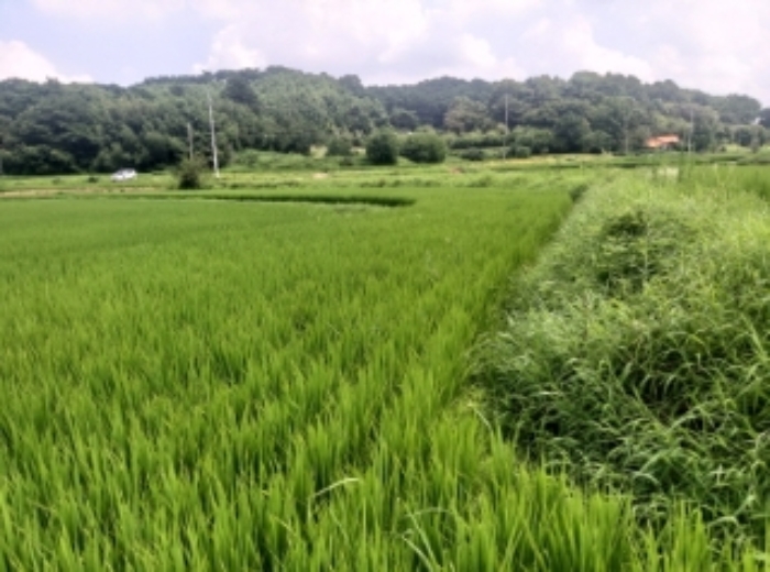 2024타경56953